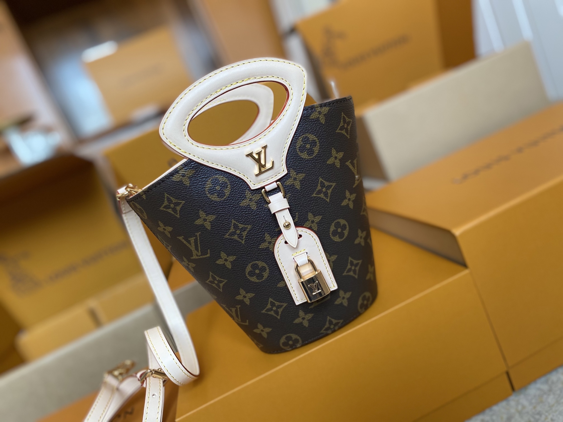 Louis Vuitton bag-50