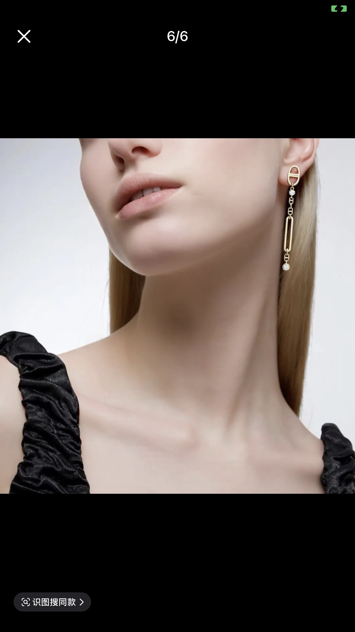 Hermes earrings-68