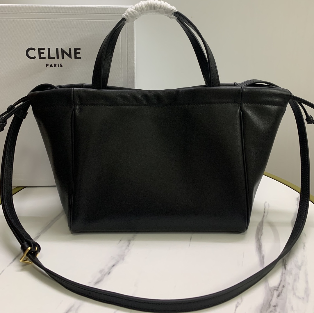 Celine bag-117