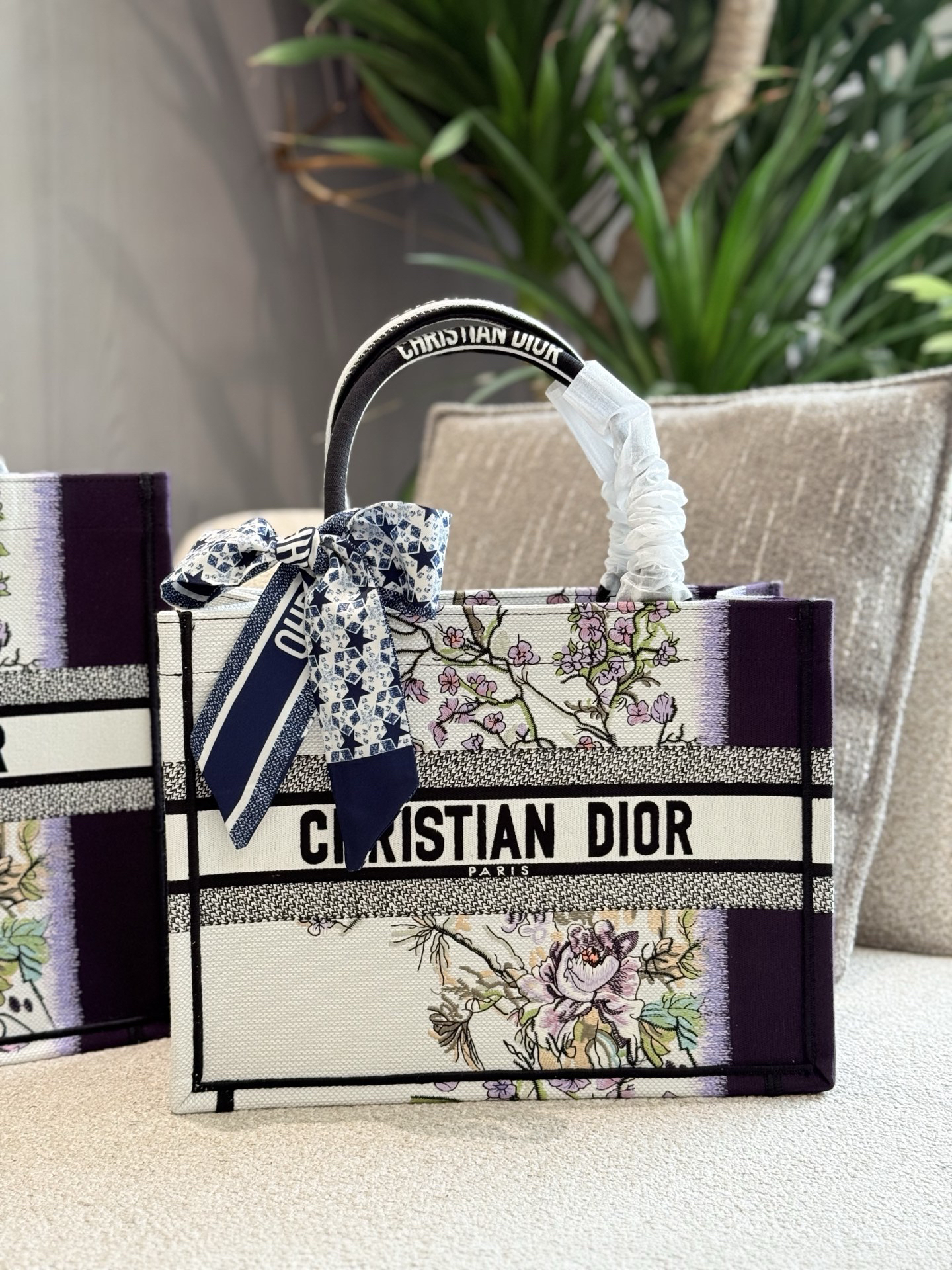 Dior bag-30