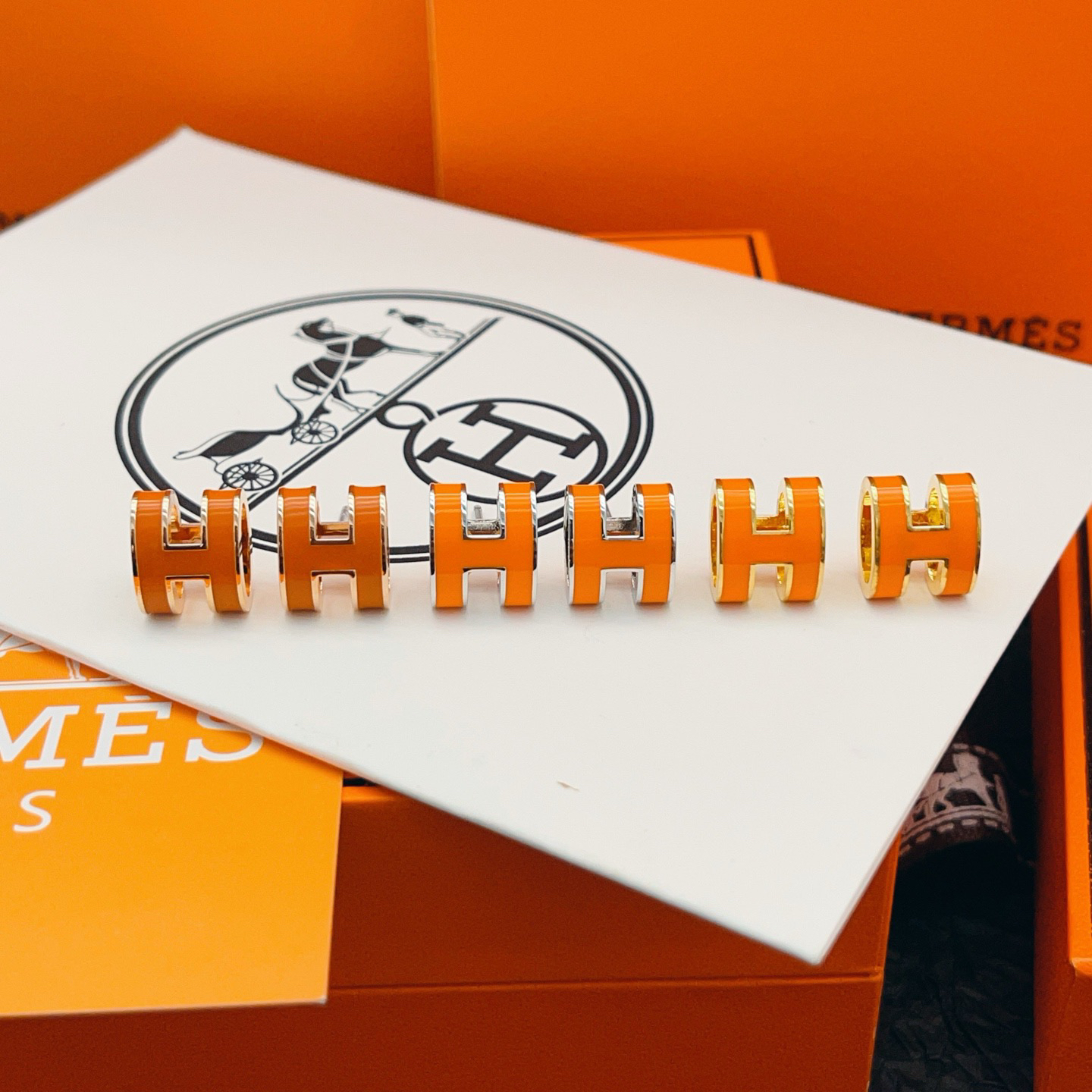 Hermes earrings-75
