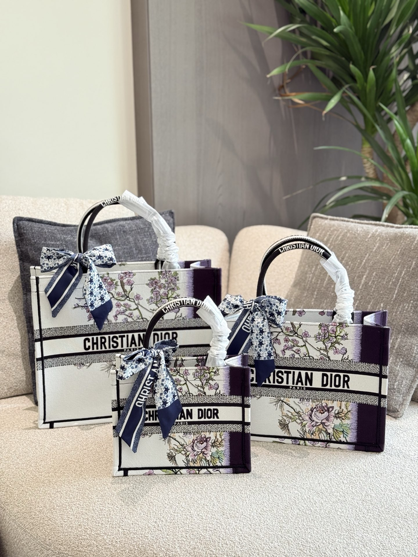 Dior bag-30