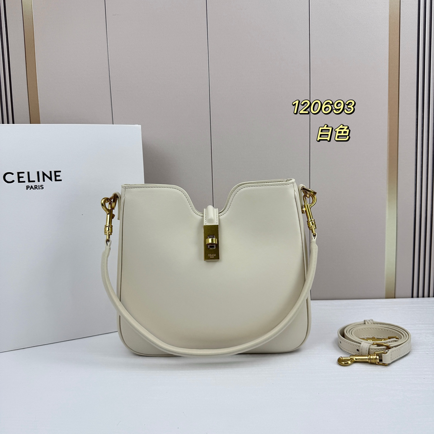 Celine bag-10