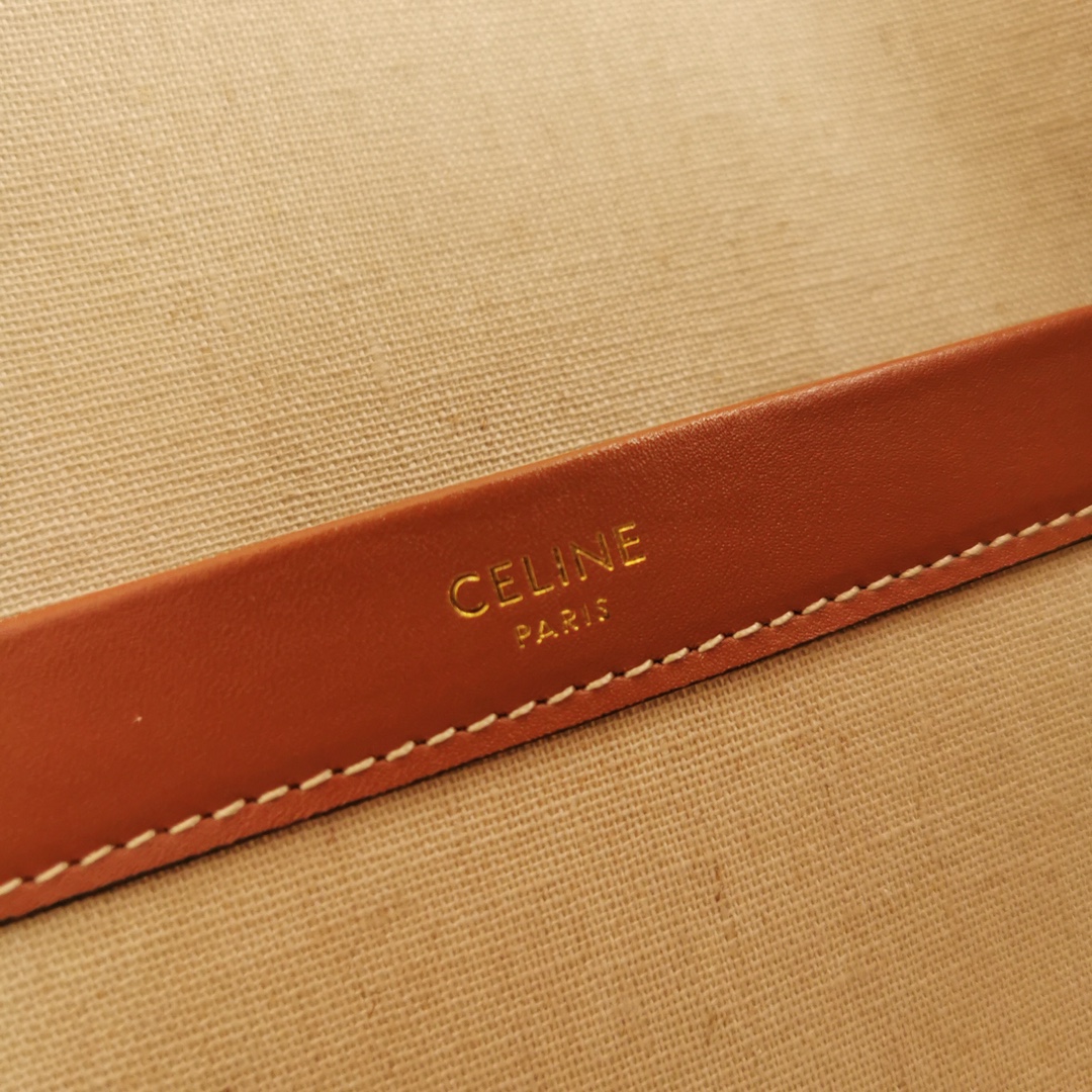 Celine bag-119