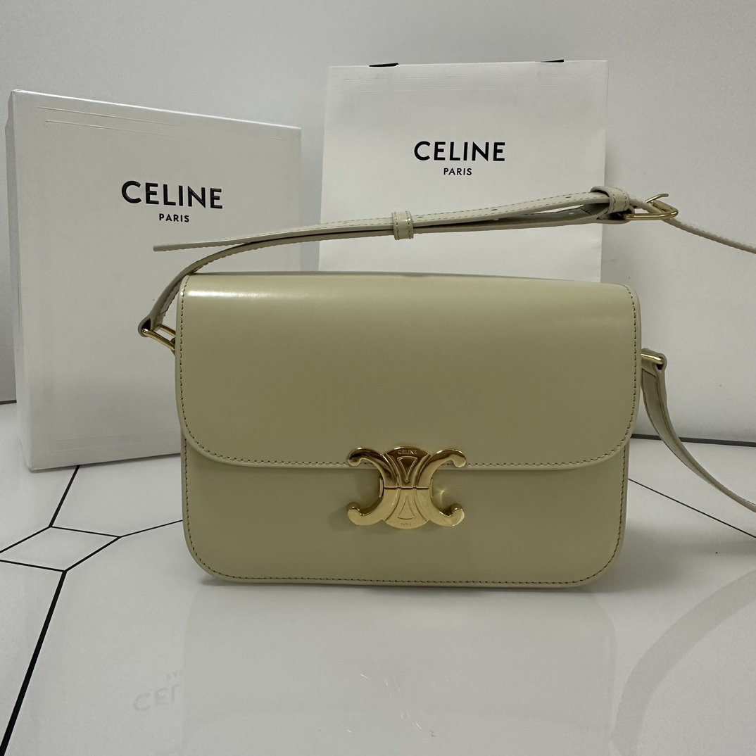Celine bag-109