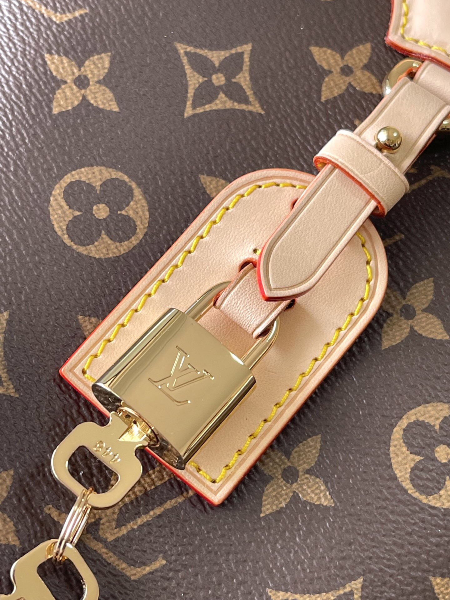 Louis Vuitton bag-101