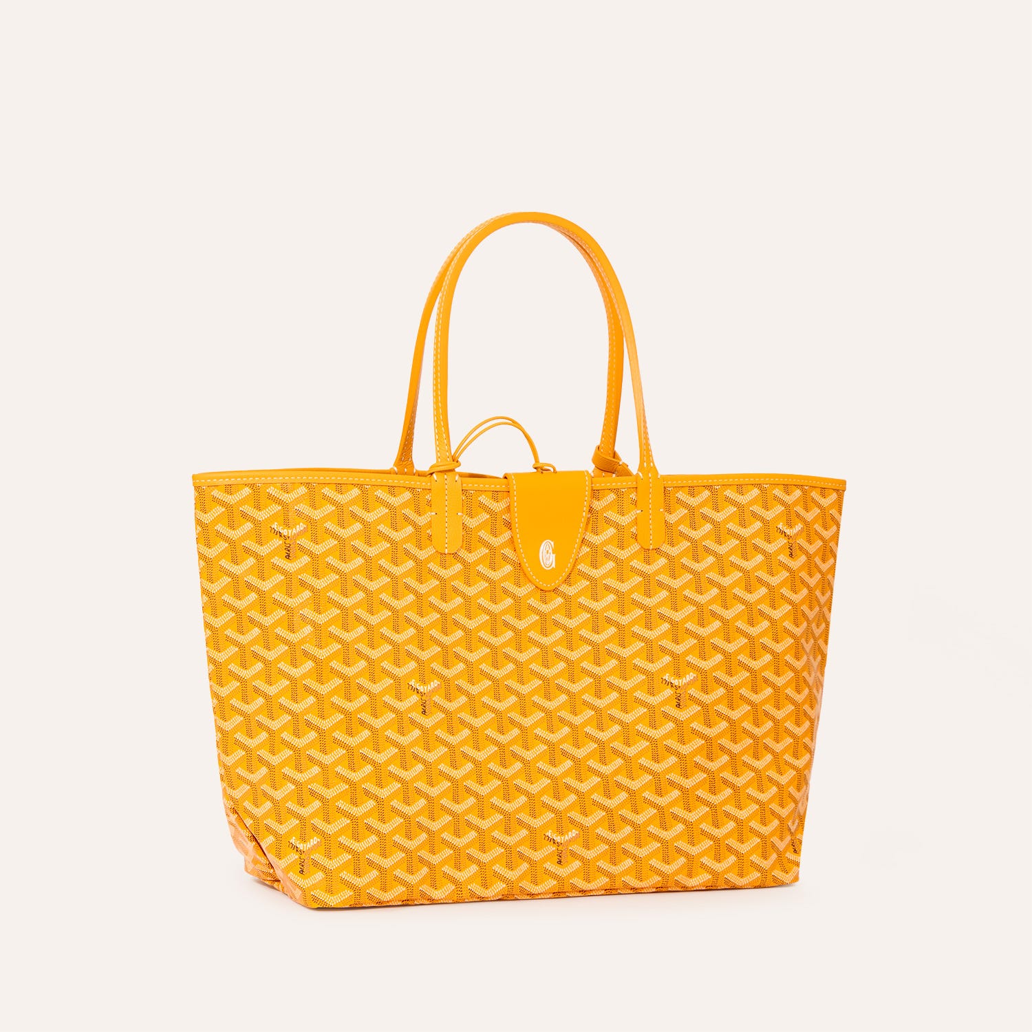 Saint Louis PM Bag