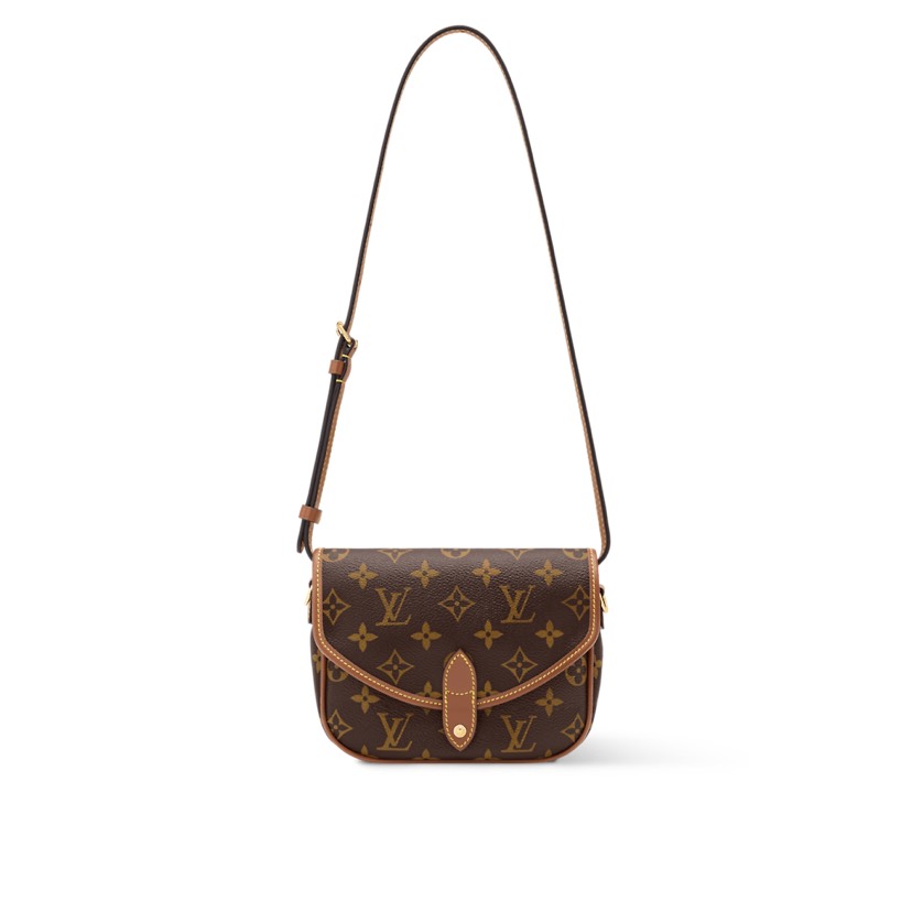 Louis Vuitton bag-7