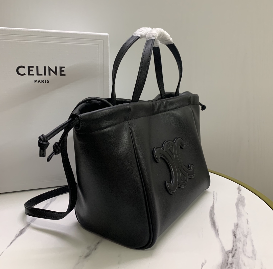 Celine bag-117