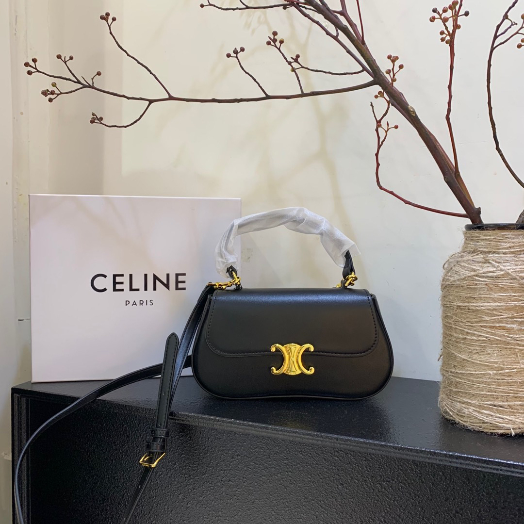Celine bag-55