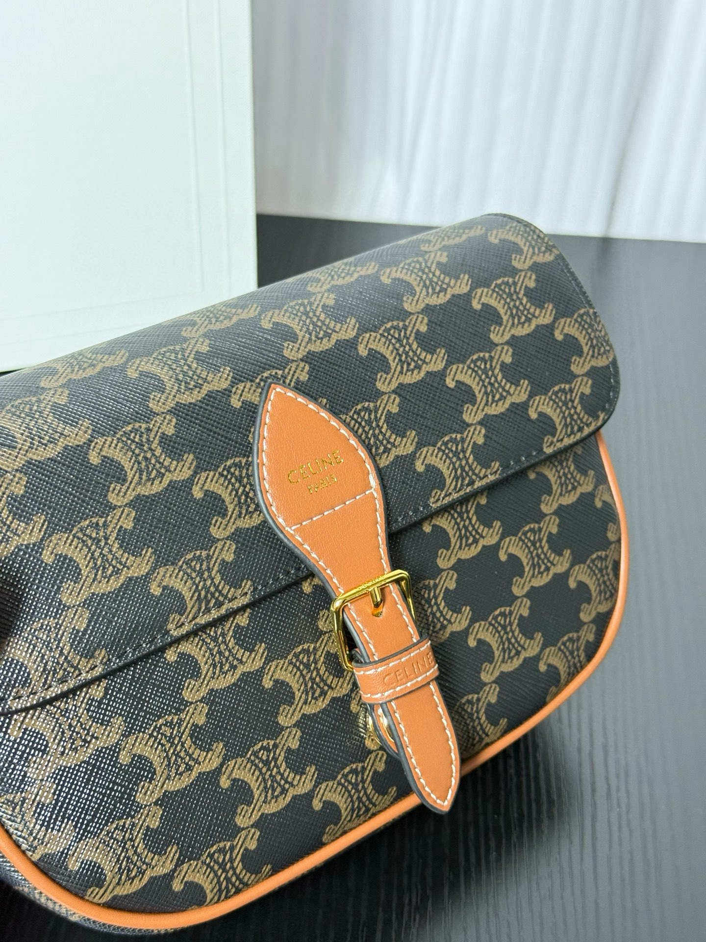 Celine bag-2