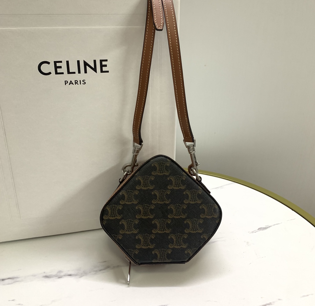 Celine bag-124