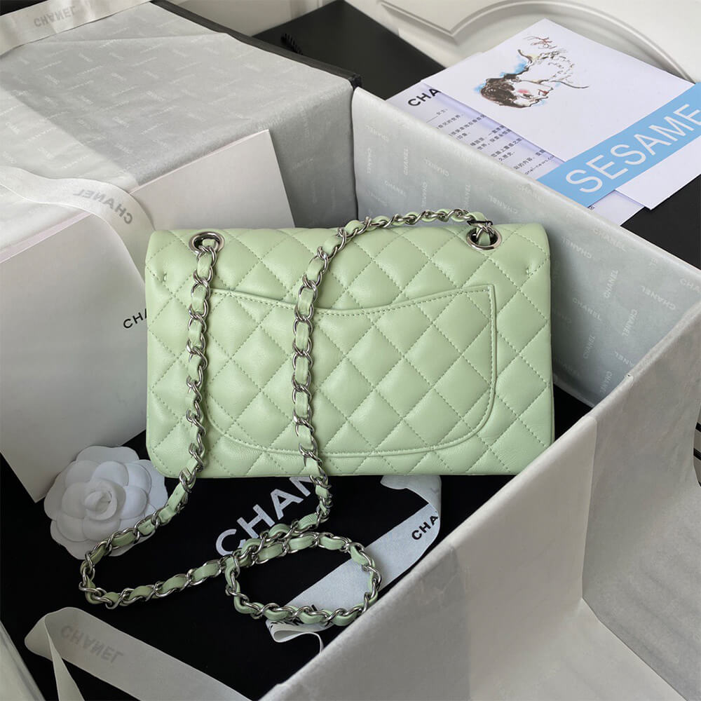 Chanel Classic Flap Medium SiLouis Vuittoner hardware