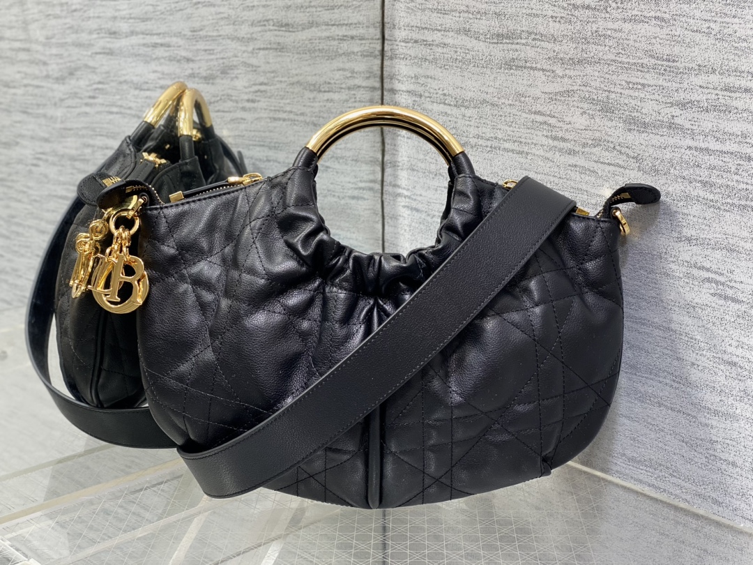 Dior bag-41