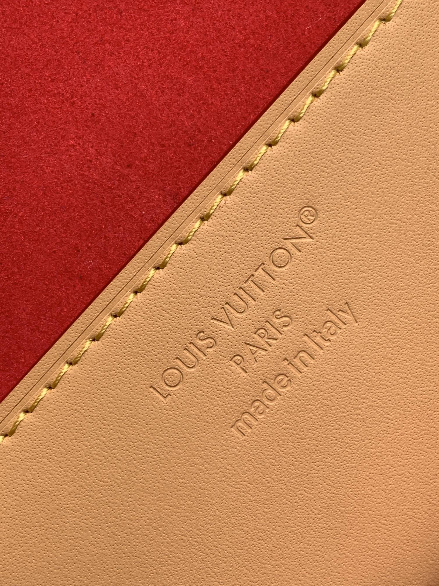 Louis Vuitton bag-64