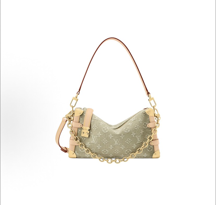 Louis Vuitton Hot New Product-219