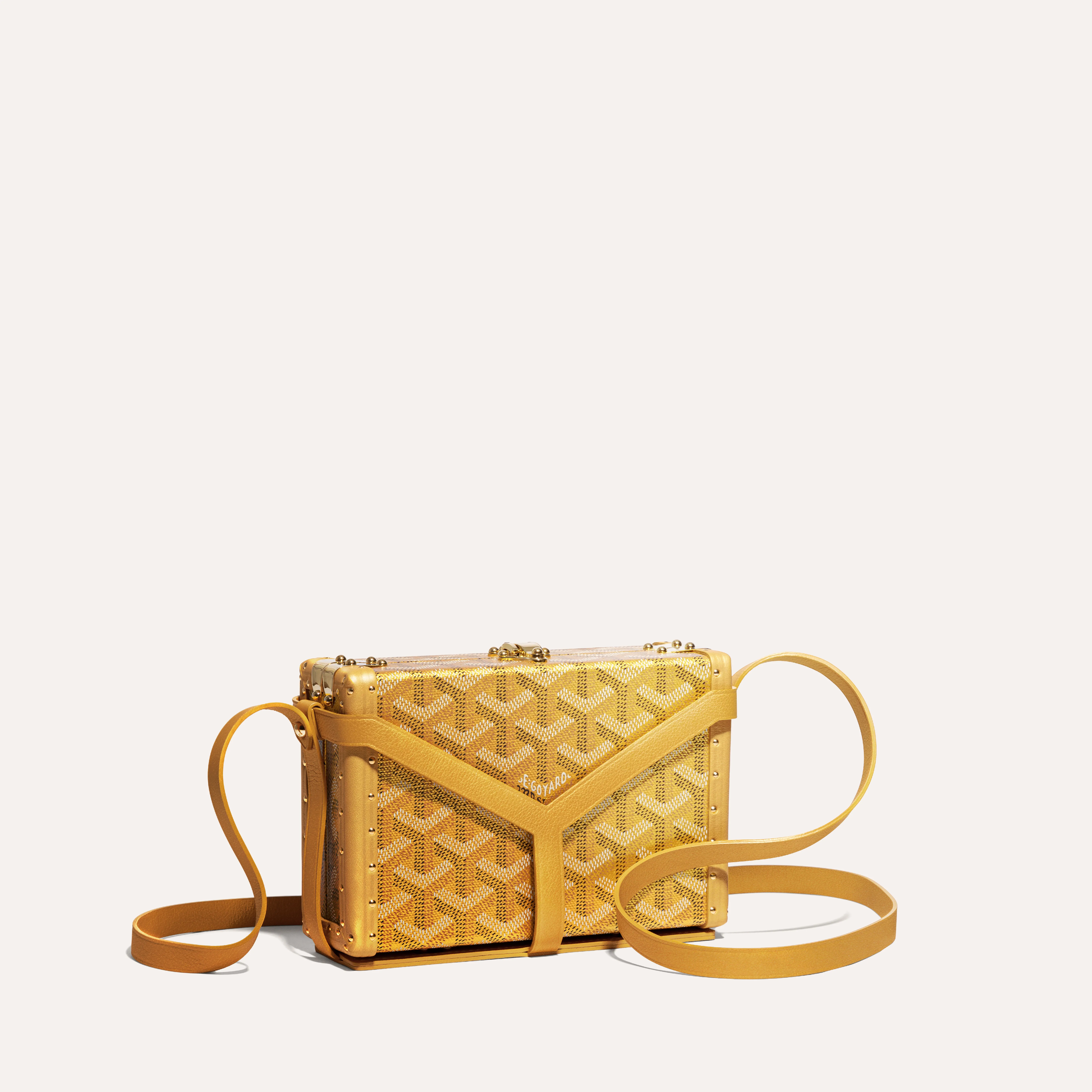 Minaudière Trunk Bag