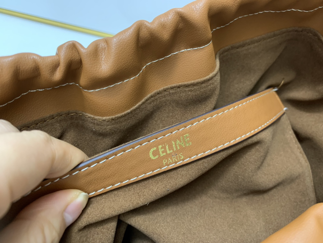 Celine bag-3