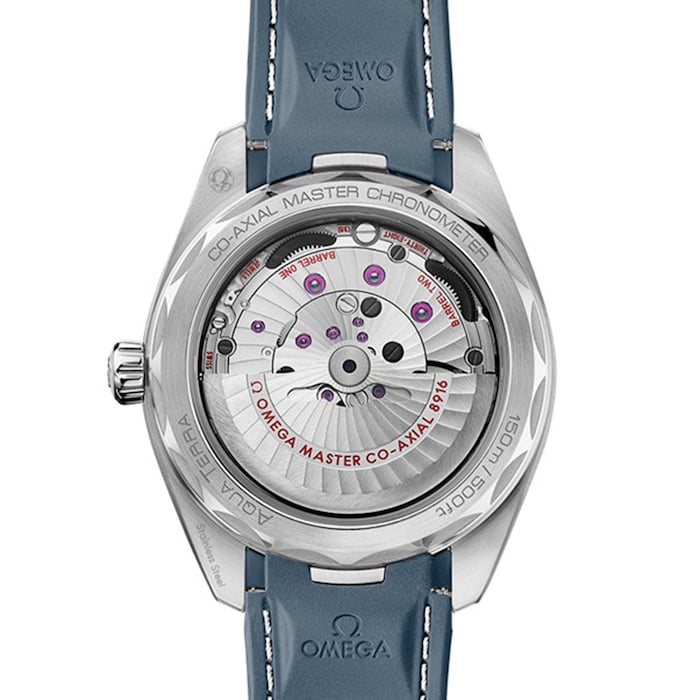 Seamaster Aqua Terra 41mm Mens Watch