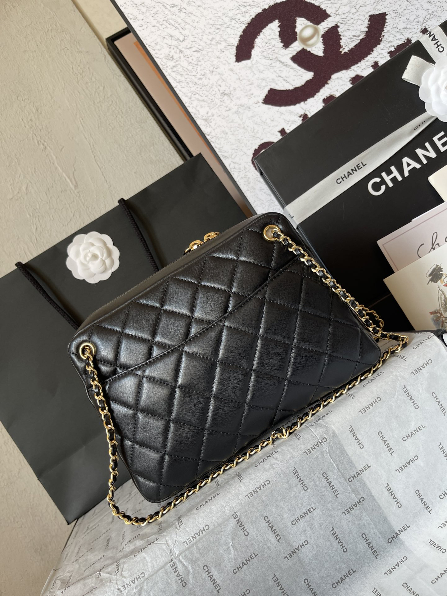 Chanel bag-111
