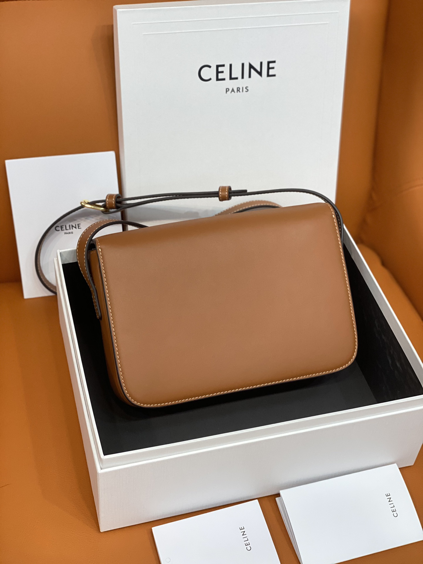 Celine bag-110