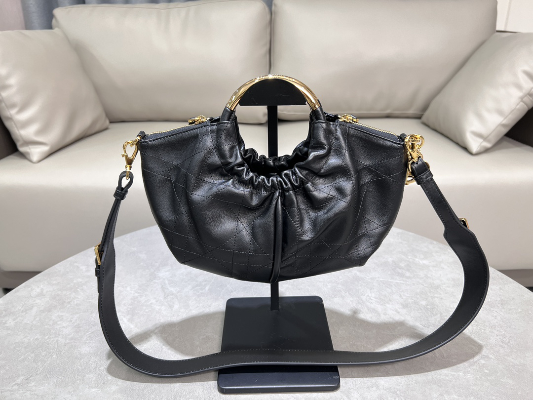 Dior bag-31