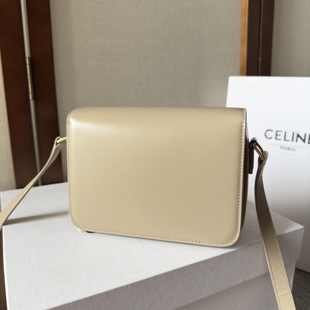 Celine bag-76