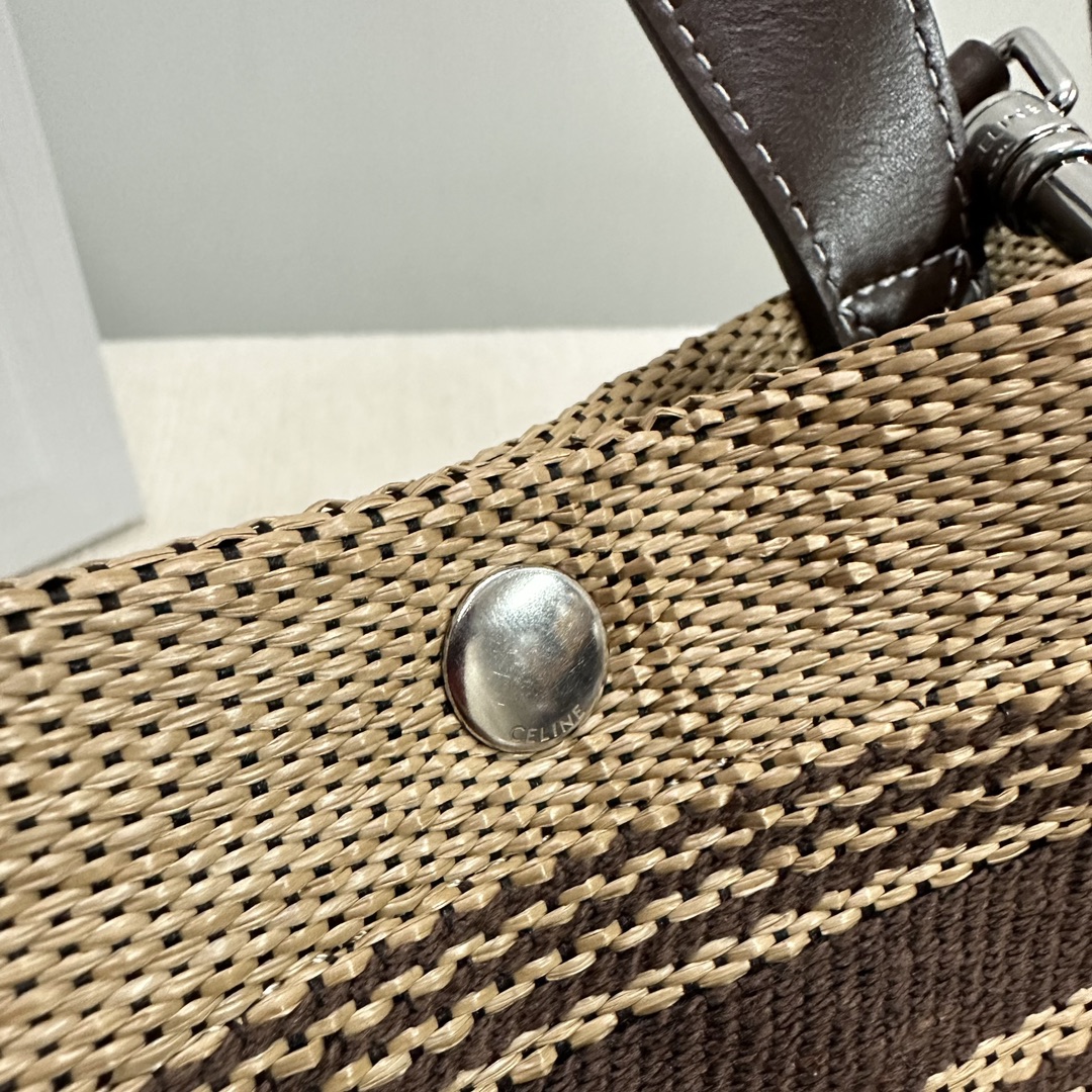 Celine bag-120