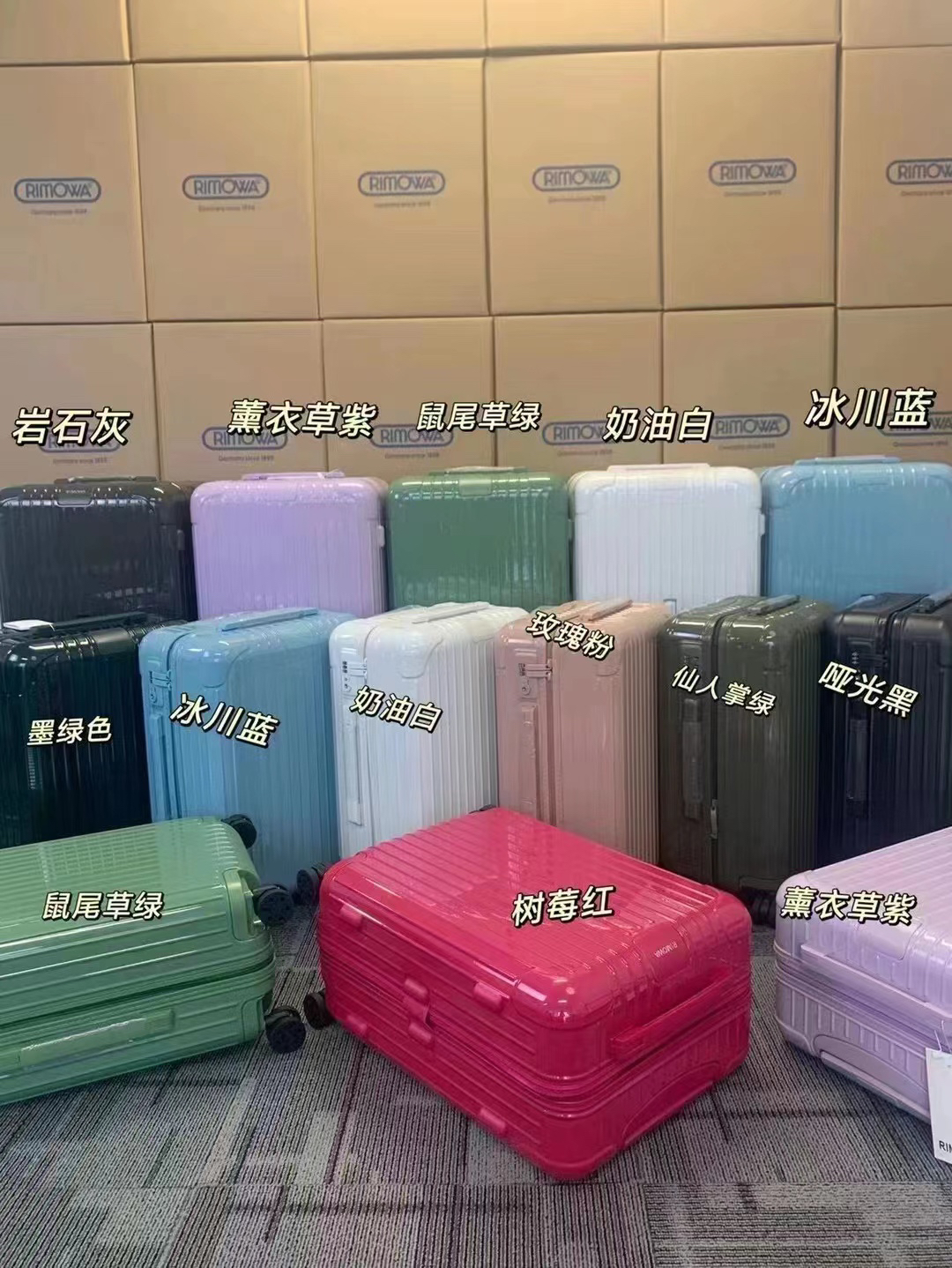 RIMOWA luggage-82