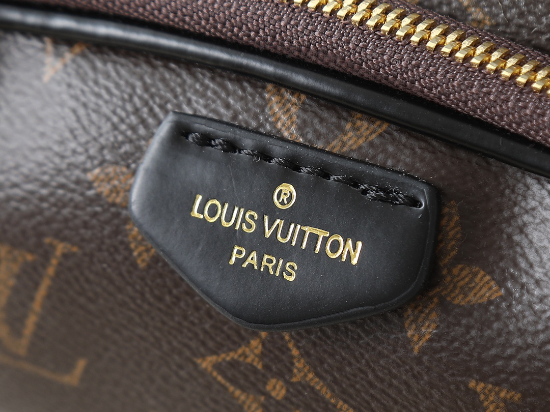 Louis Vuitton bag-186
