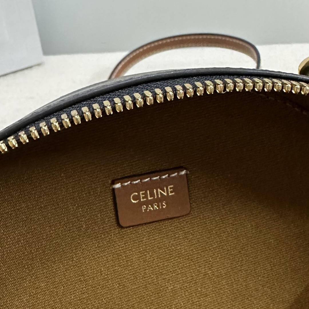 Celine bag-123