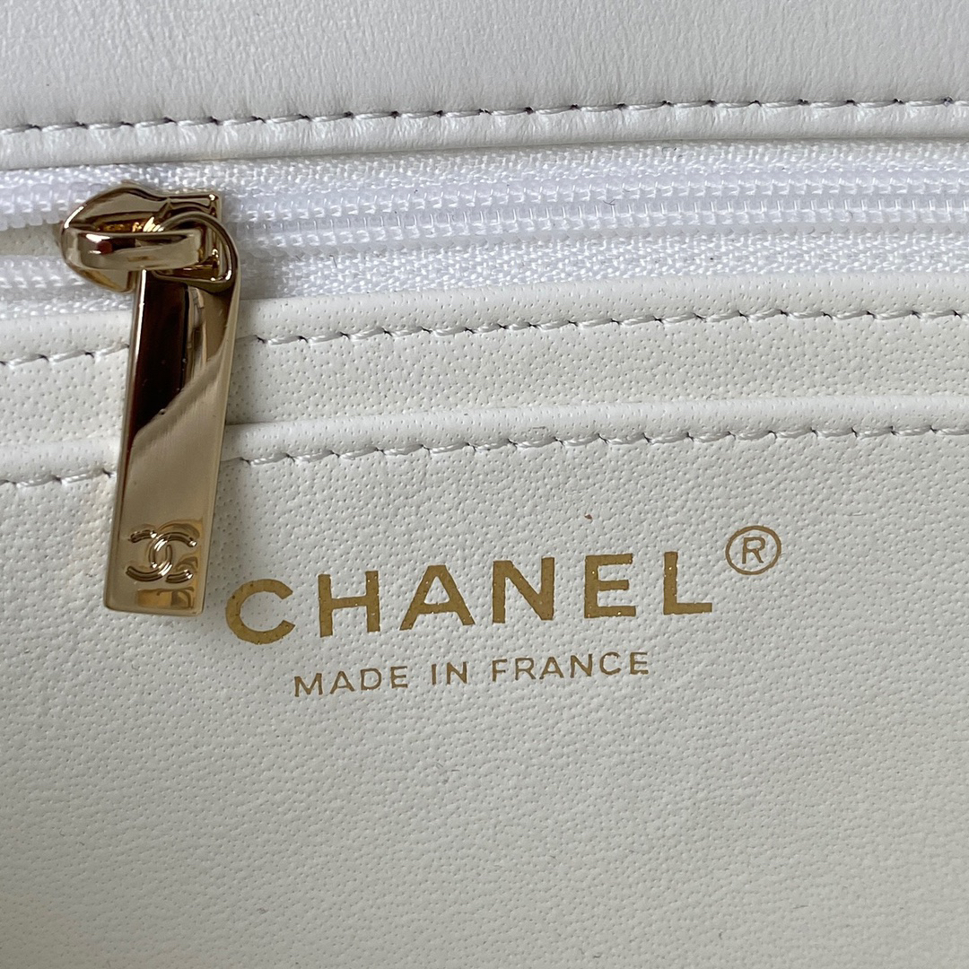 Chanel bag-100