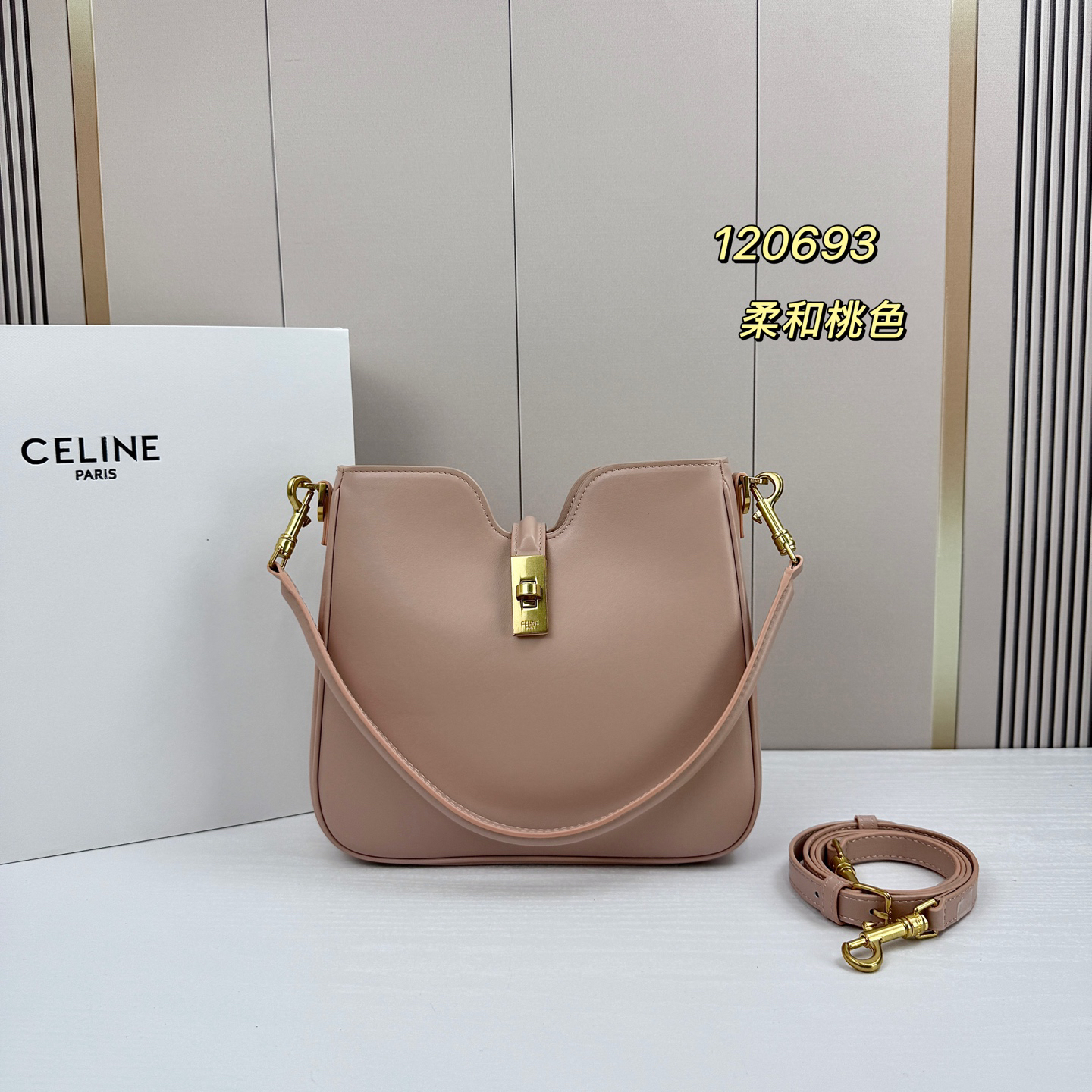Celine bag-11