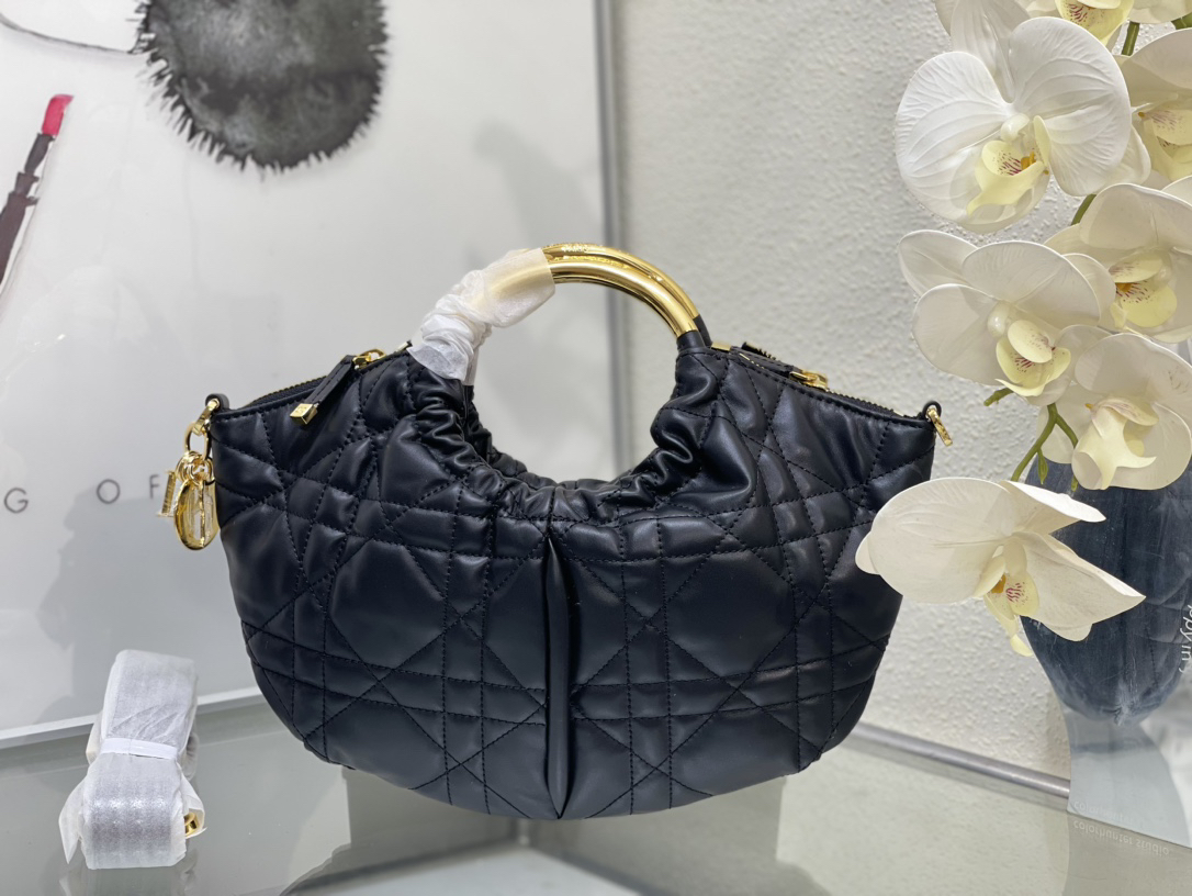 Dior bag-53