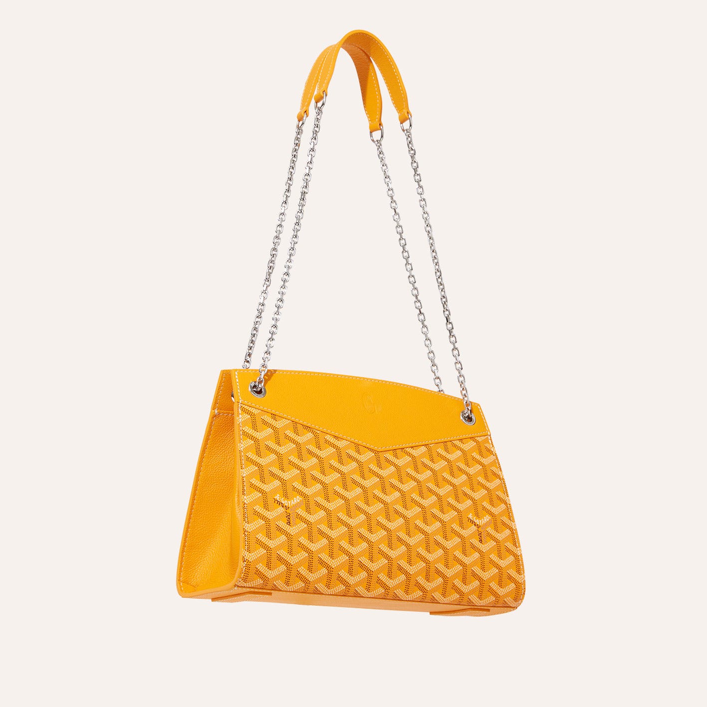 Rouette Structuré PM Bag