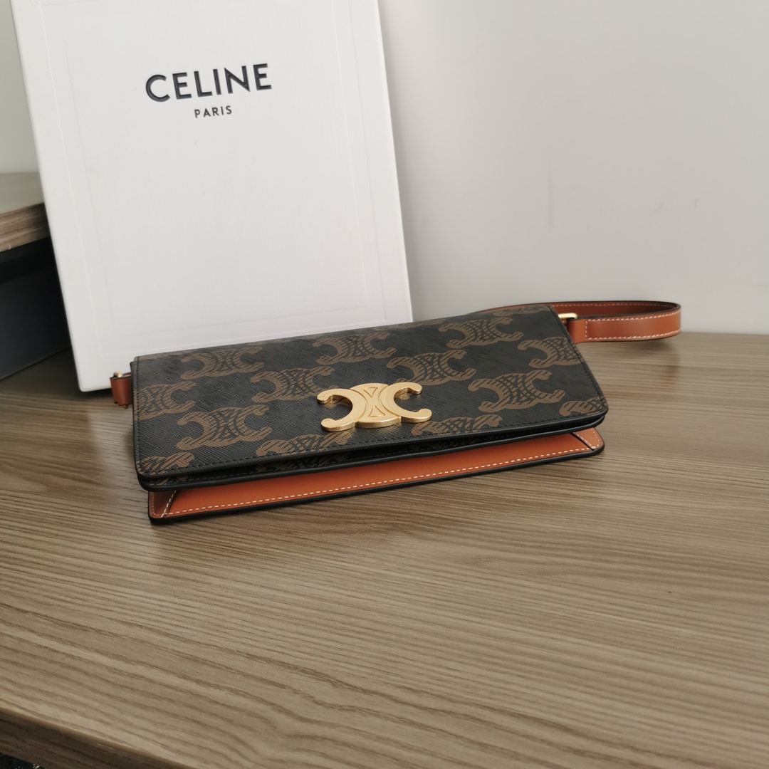 Celine bag-121