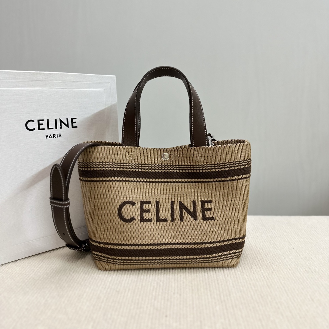 Celine bag-120