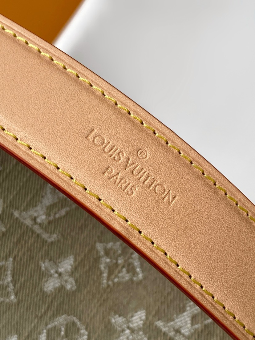 Louis Vuitton Hot New Product-219