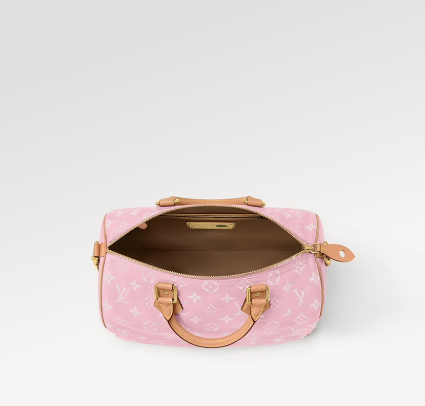 Louis Vuitton bag-9