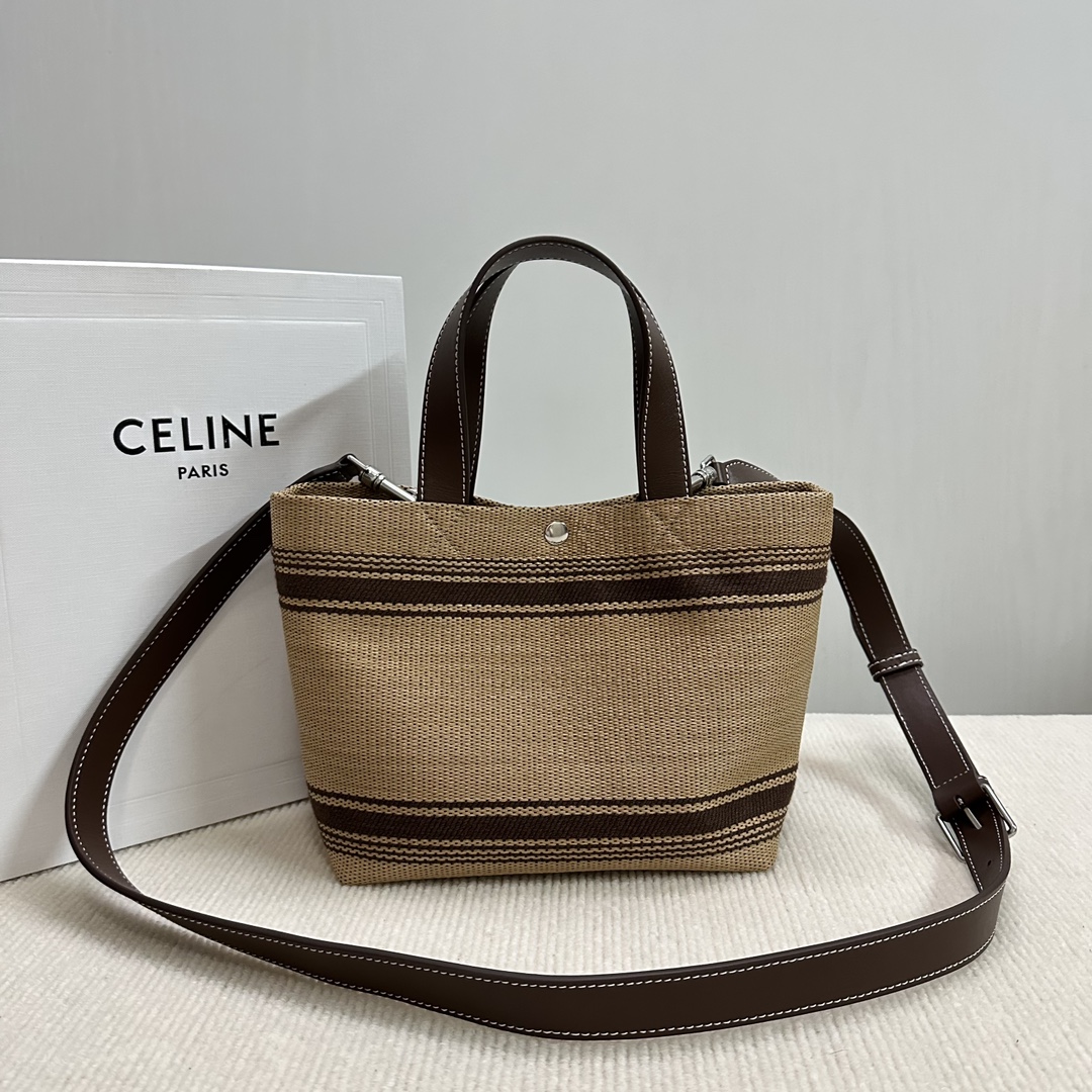 Celine bag-120