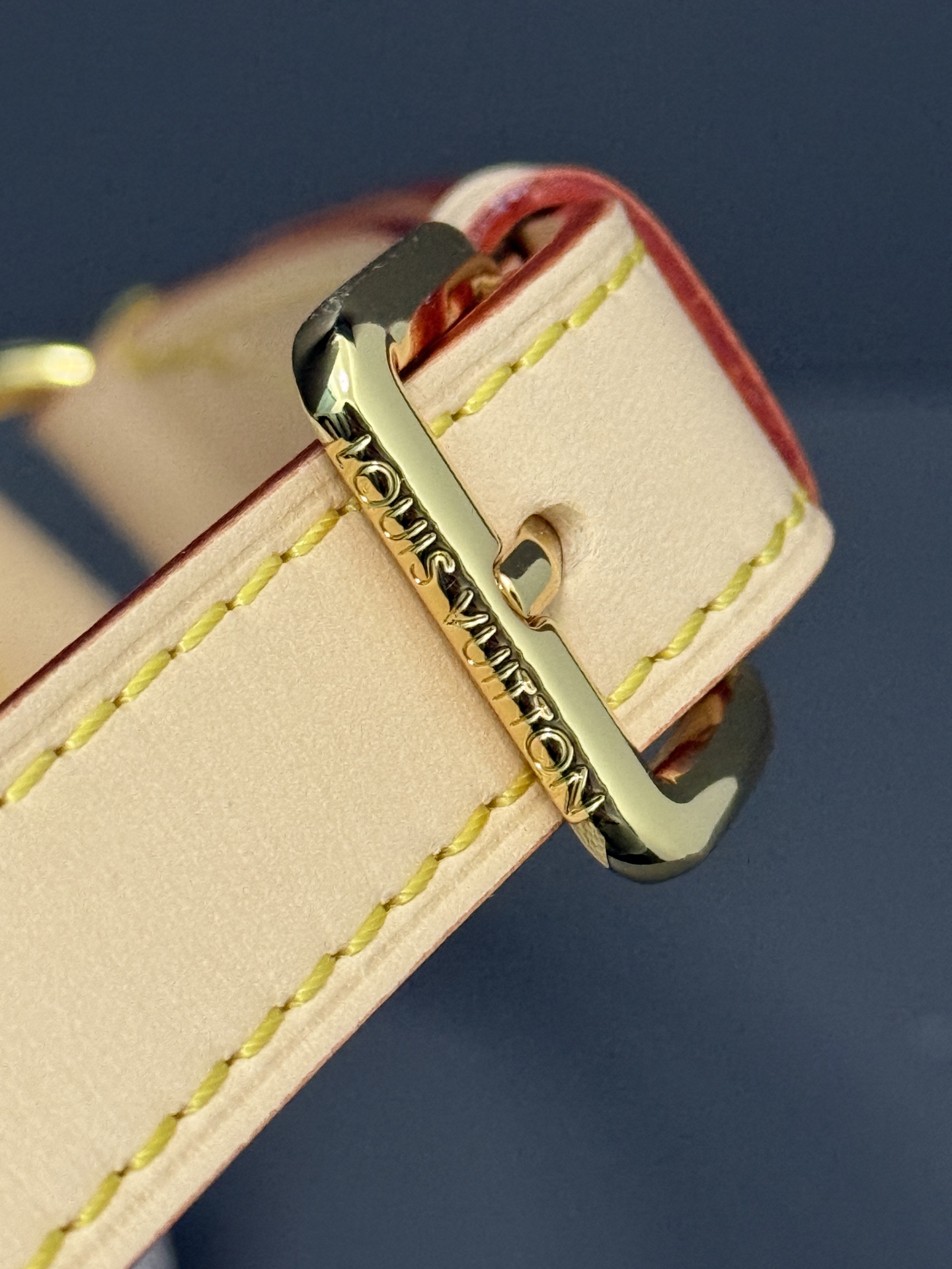 Louis Vuitton bag-48