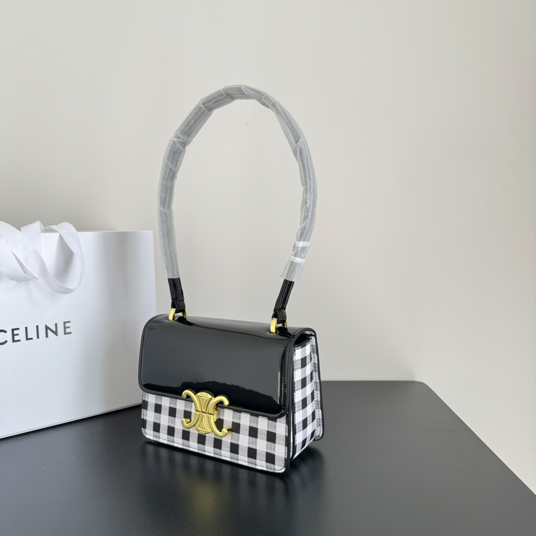 Celine bag-105