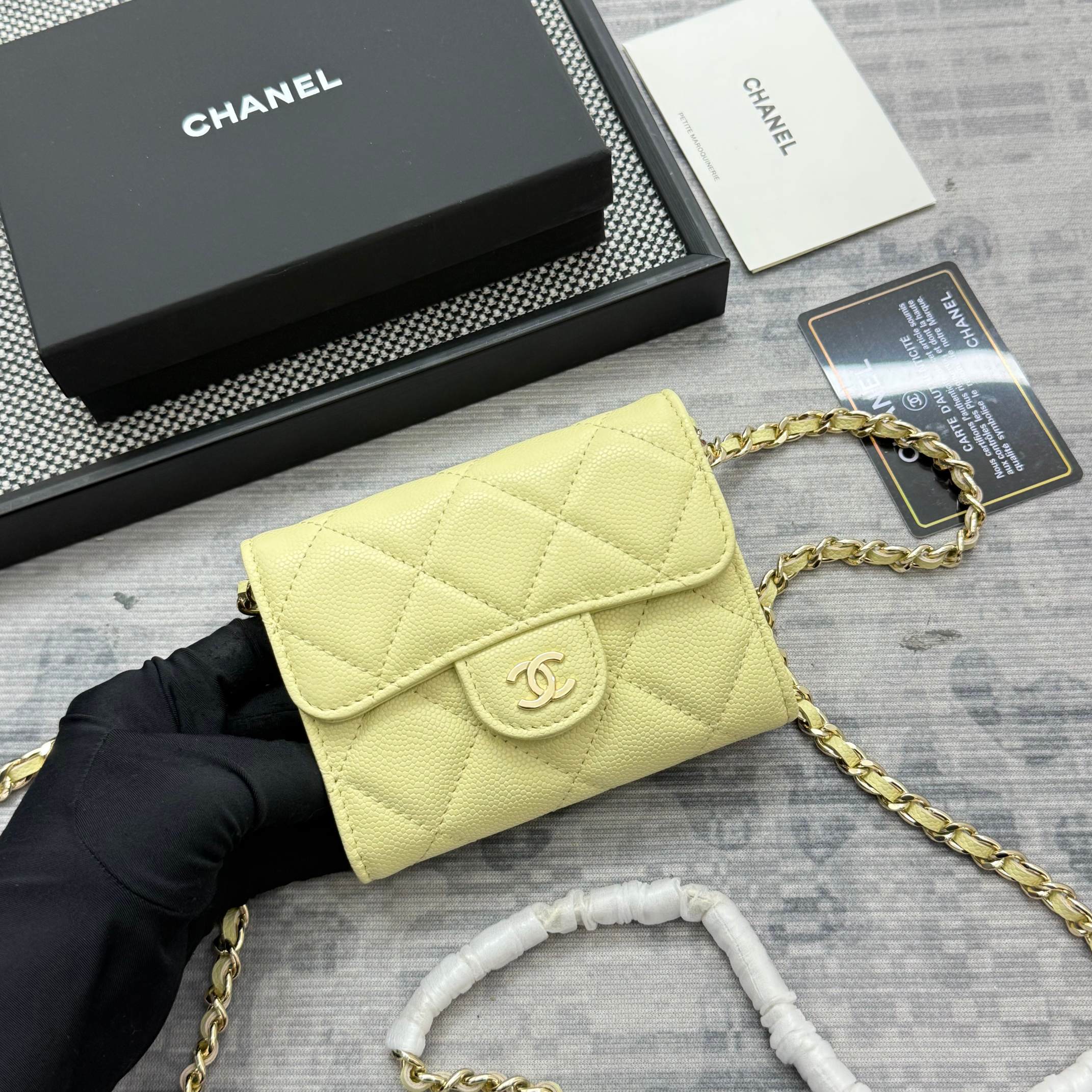Chanel bag-13