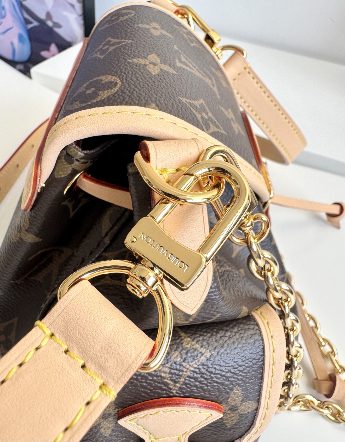 Louis Vuitton bag-29