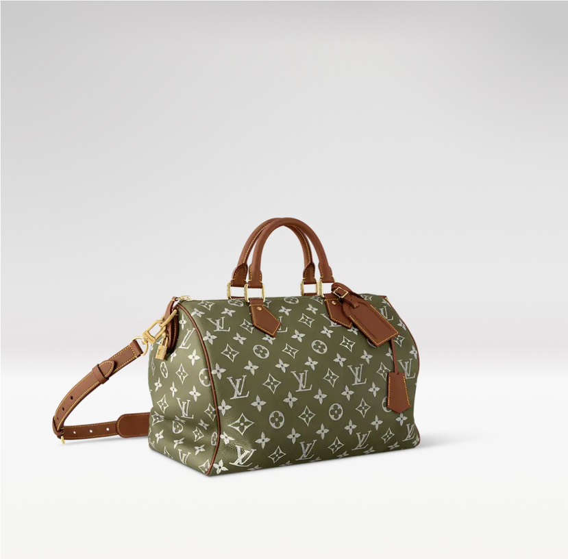 Louis Vuitton bag-32