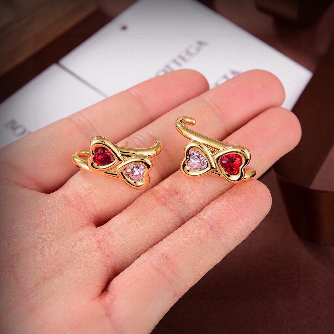 Bottega Veneta earrings-55