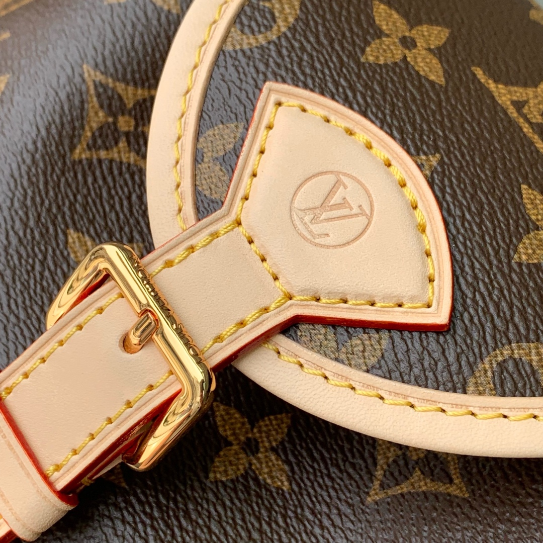Louis Vuitton bag-49