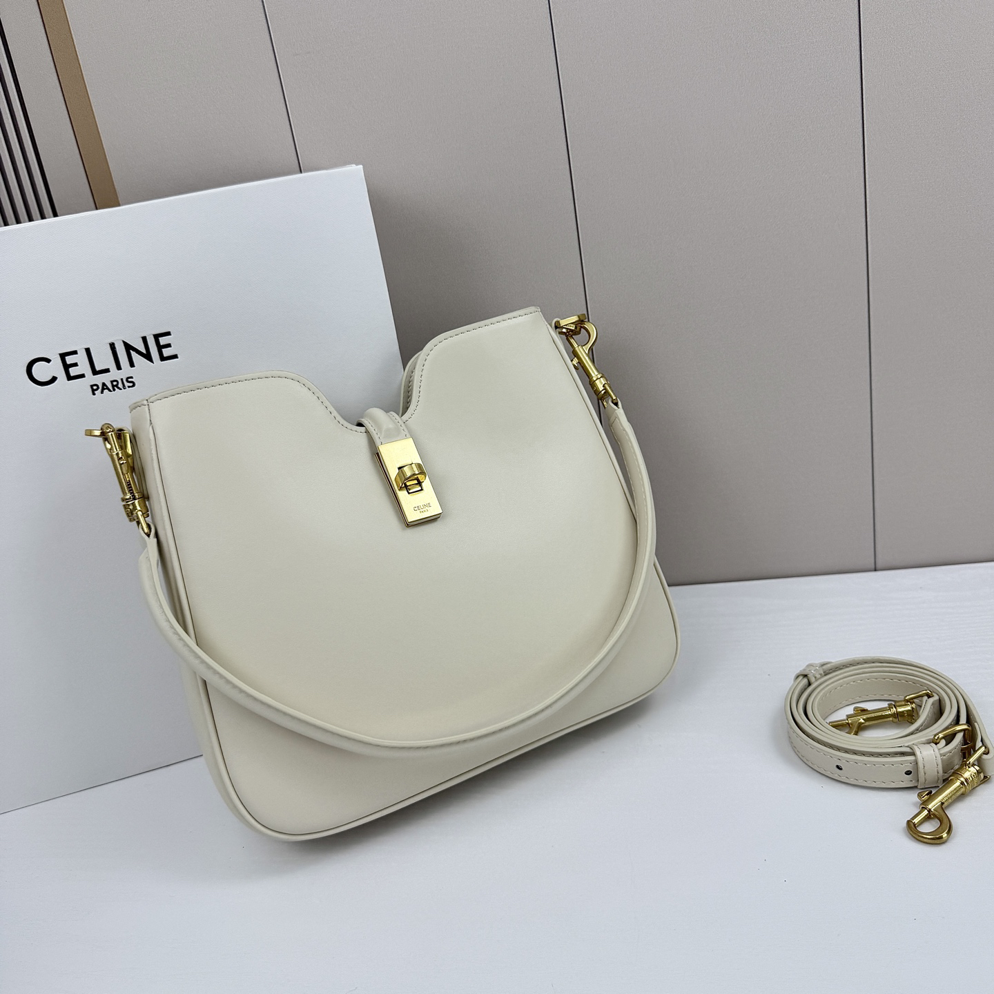 Celine bag-10