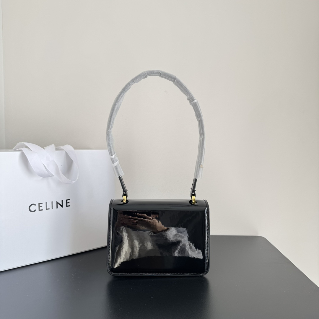 Celine bag-105