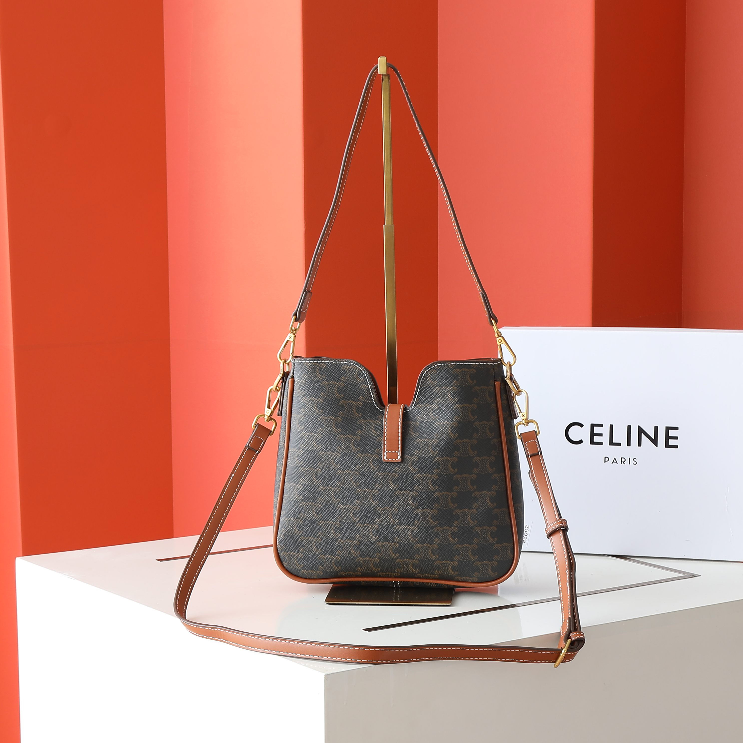 Celine bag-4